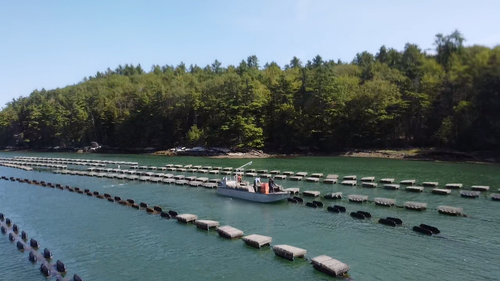Fishing boat on a lake with oyster racks in the foreground and trees in the background