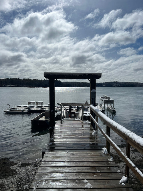 Wooden dock extending into a river with a cloudy sky.