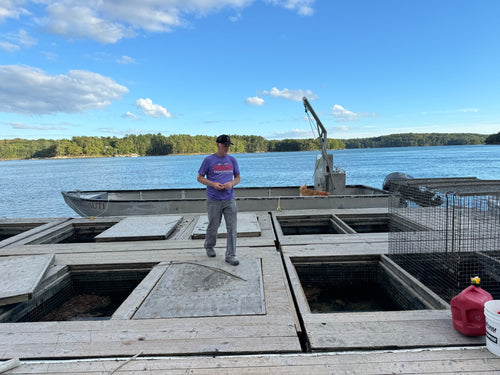 Person standing on a dock with cages and a crane in the background