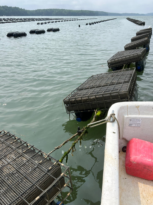 Aquaculture cages in a body of water with a boat nearby
