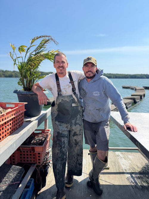 Two men standing on a dock by a body of water with a clear sky.