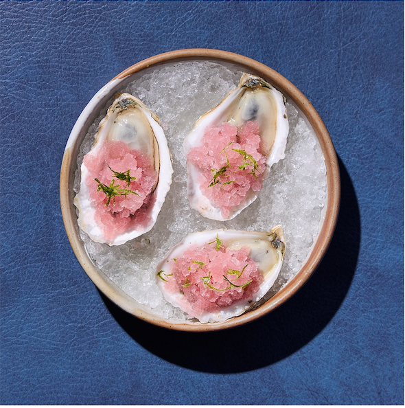 Three oysters on a bed of ice in a ceramic dish on a blue background