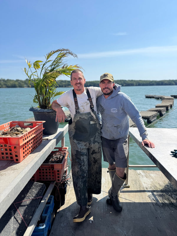 Norumbega Oyster