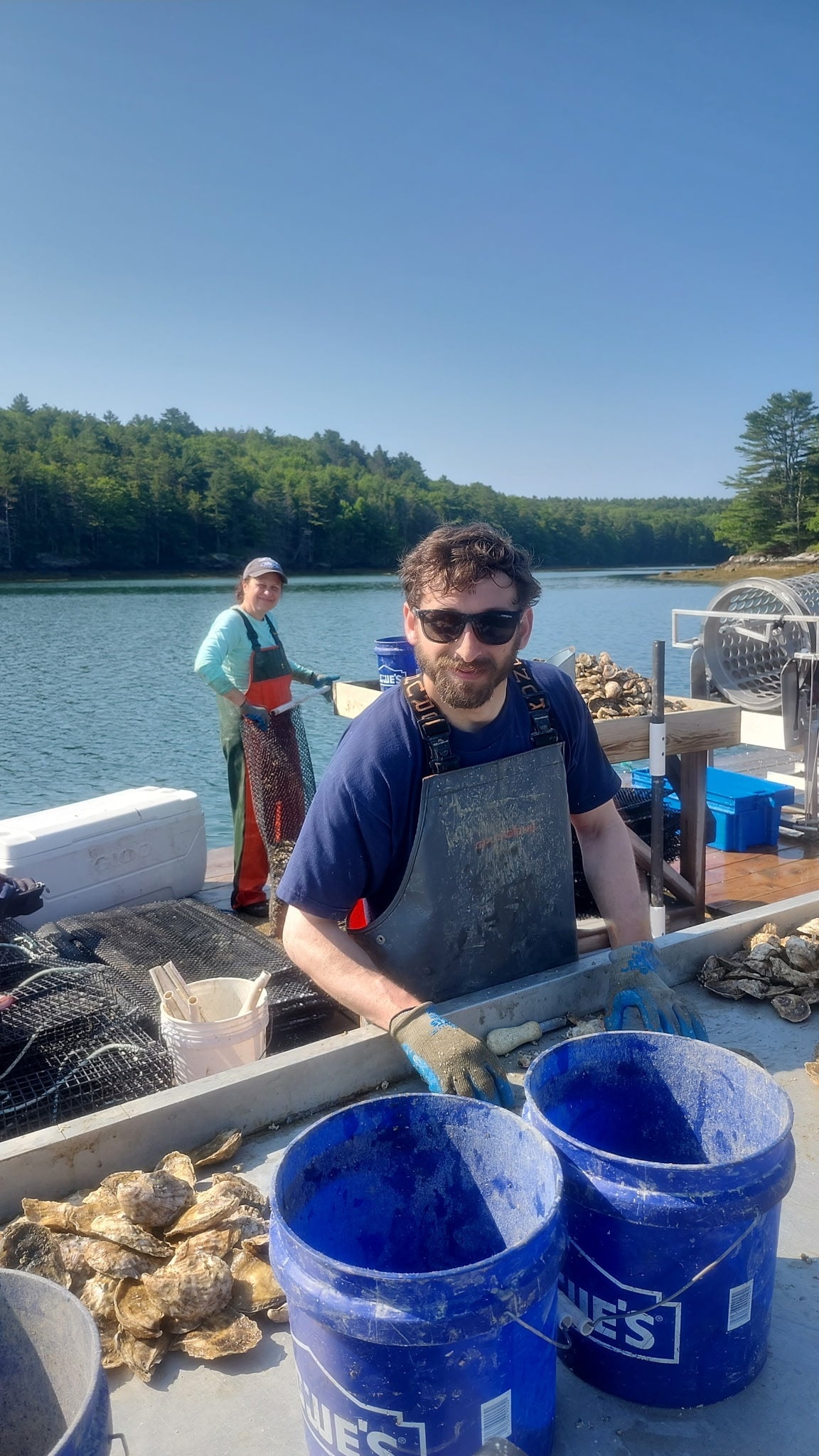 Oyster farmers sorting oysters on a dock along the Damariscotta River