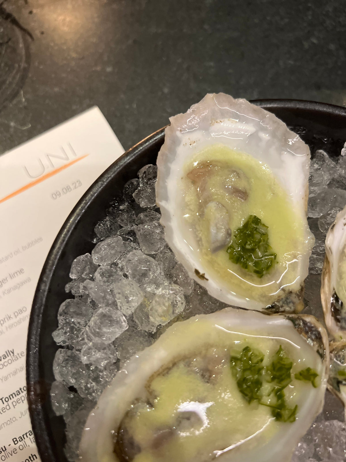 Freshly shucked oysters on a bed of ice