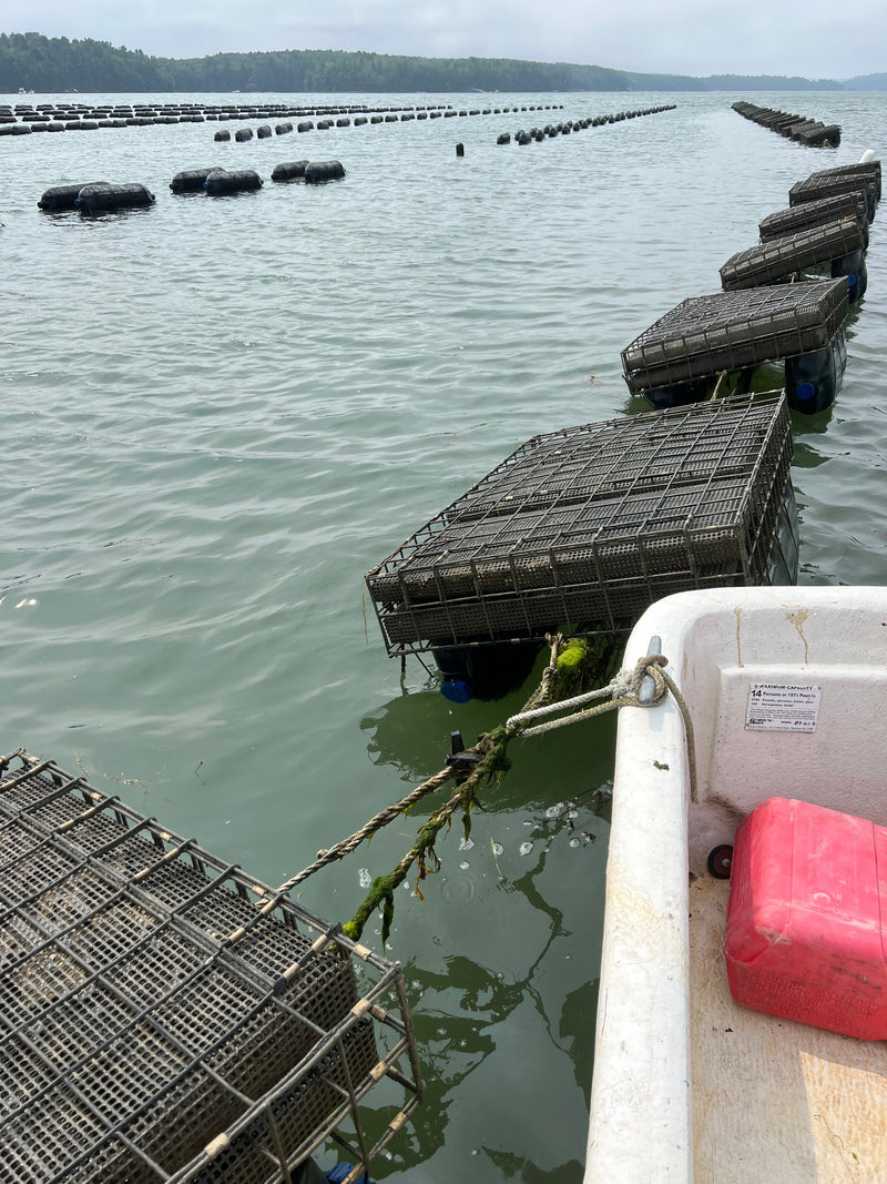 Unicorn Oyster Co.