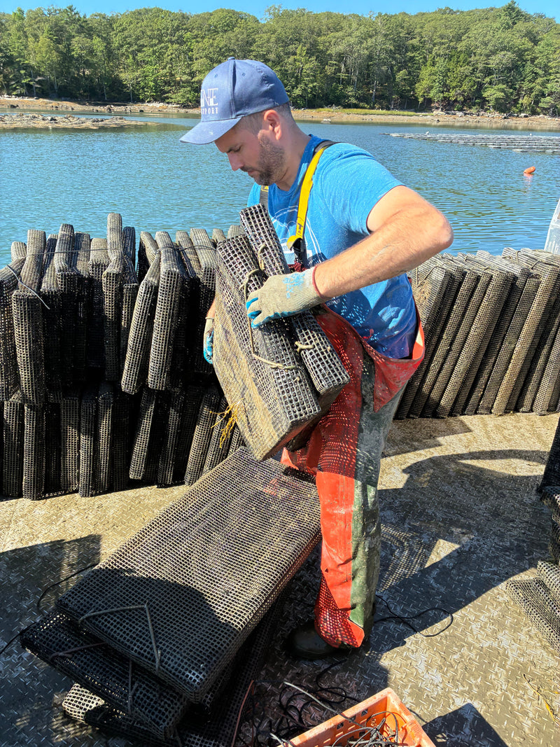 Unicorn Oyster Co.