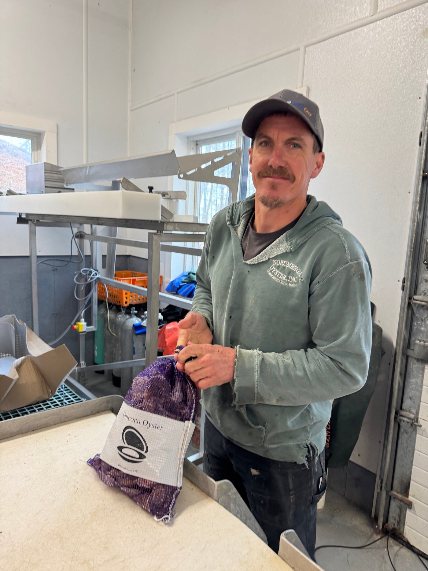 Unicorn Oyster Co. farmer packing oysters for overnight shipping in Maine